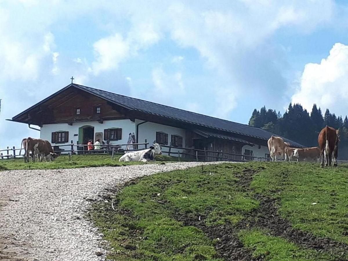 Kreuz Appartement